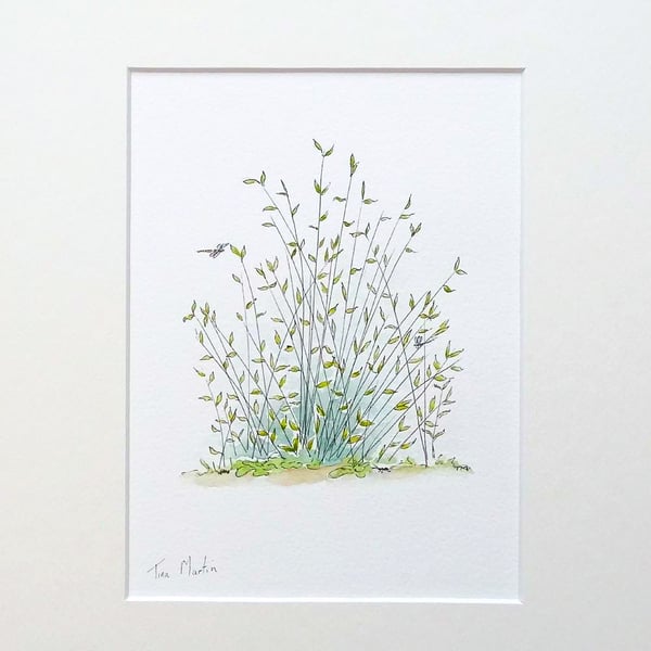 Original Art Watercolour Bug Illustration 'Rushes'