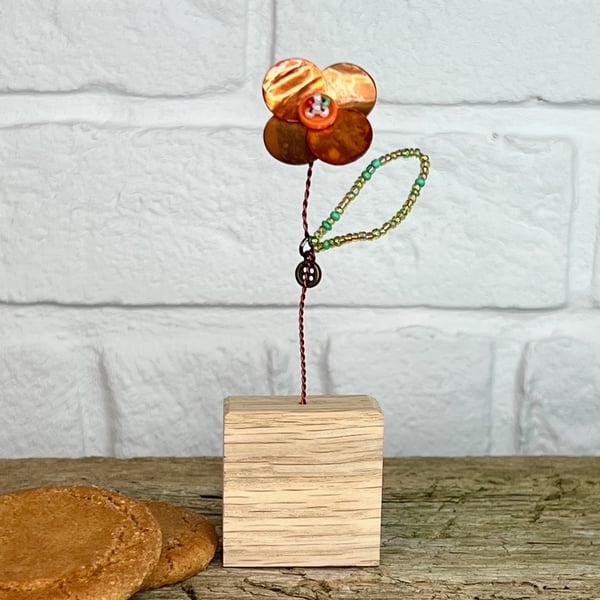 Single Stem Mother Of Pearl Poppy Bloom Letterbox Gift