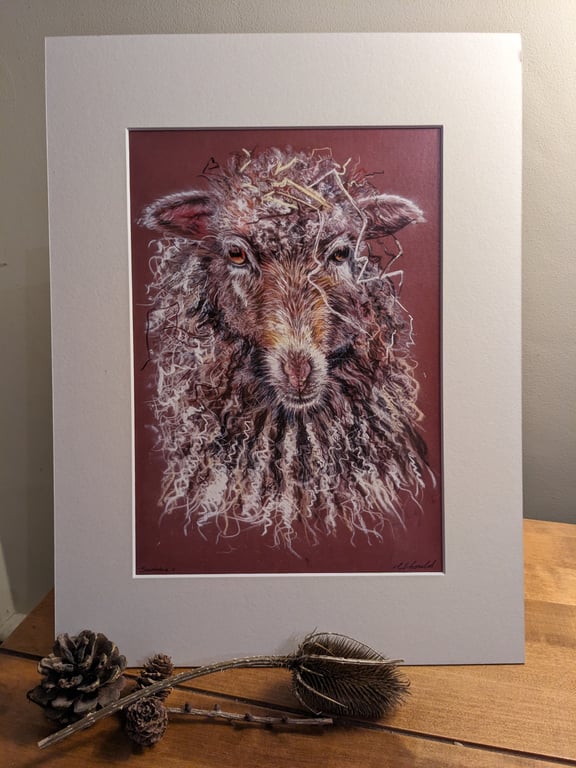 An A4 or A3 print of an original drawing of a Sheep - ' Sammie'