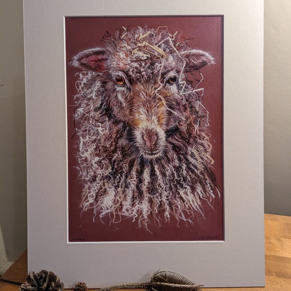 An A4 or A3 print of an original drawing of a Sheep - ' Sammie'