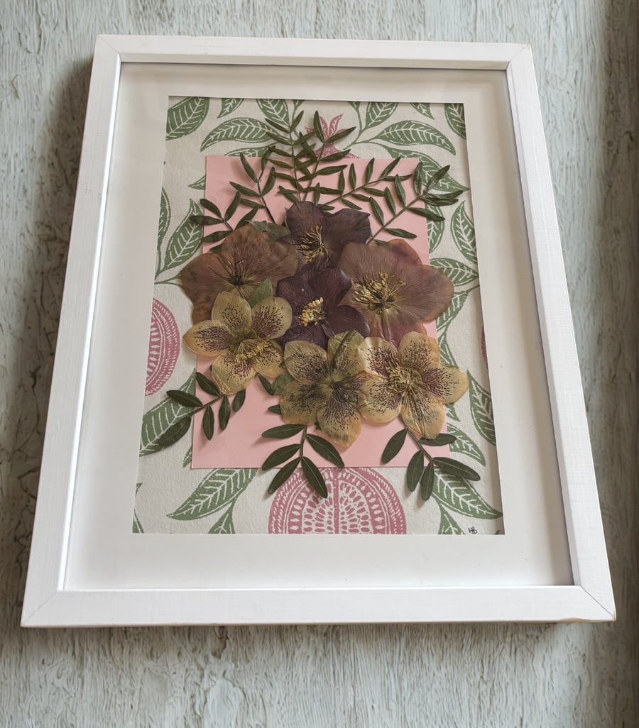 Pressed Hellebore Botanical Art in a white wood frame