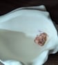 Echoes of the Earth - Shell Dish - Image 2