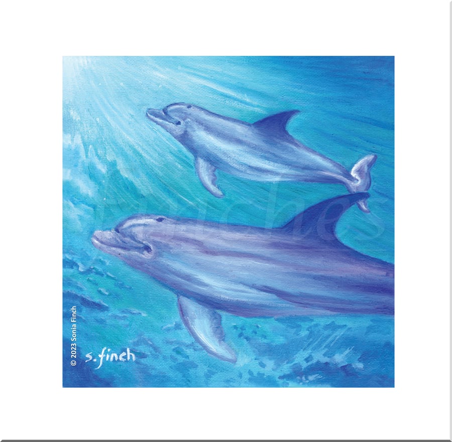Spirit of Dolphin (Bottlenose) - Blank Card with Nature Spirit Totem message