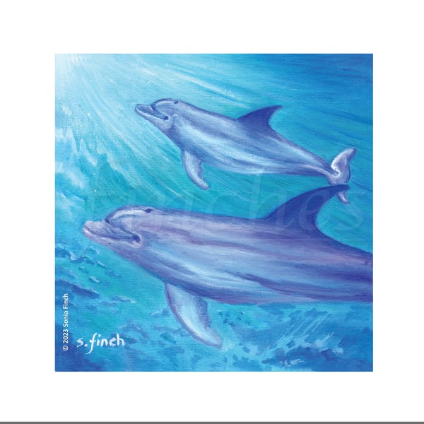 Spirit of Dolphin (Bottlenose) - Blank Card with Nature Spirit Totem message