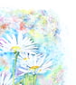 Modern Botanical Watercolour Painting of Ox Eye Daisies.  - Image 4