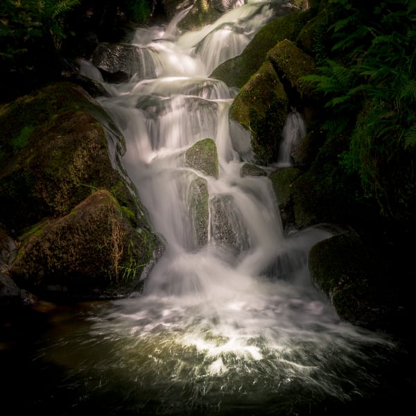 Photography Print - Hidden Waterfall - Limited Edition signed print