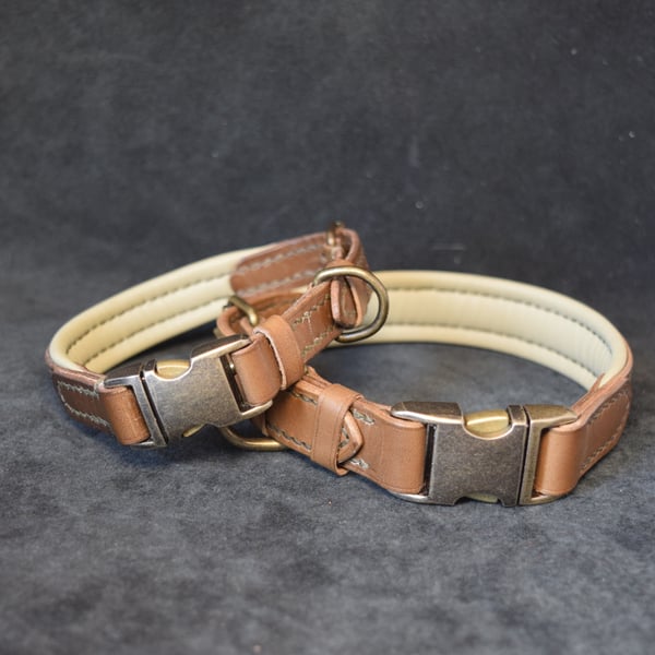 Padded Leather Dog Collar, Hand Stiched, Quick Release
