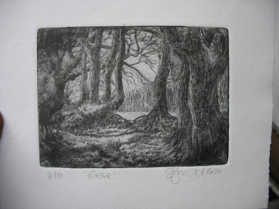 Moody drypoint etching of Exmoor birch grove