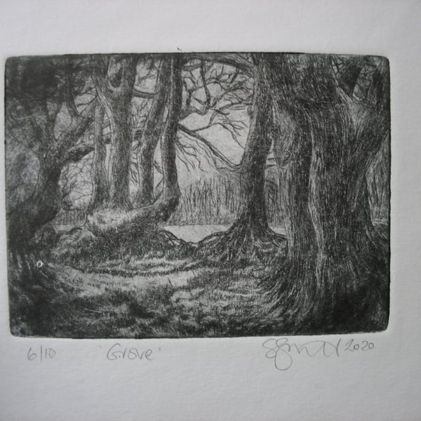 Moody drypoint etching of Exmoor birch grove