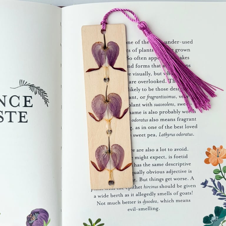 Pressed Flower Wooden Bookmark, Bleeding Hearts 
