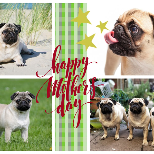 Happy Mother's Day Pug Dog Card A5