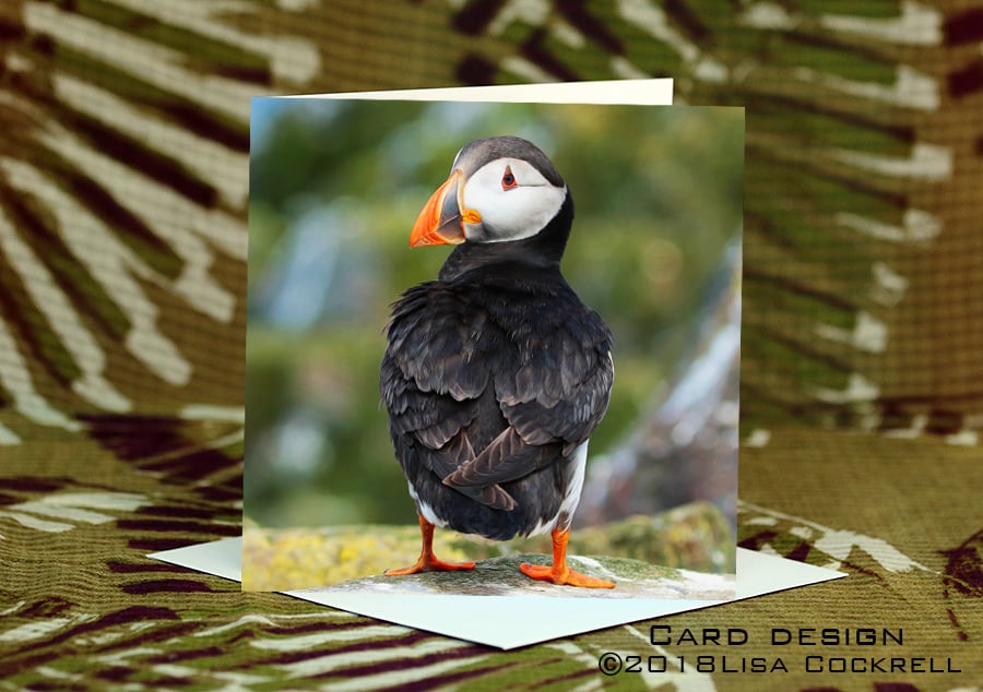 Exclusive Handmade Puffin Greetings Card on Archive Photo Paper
