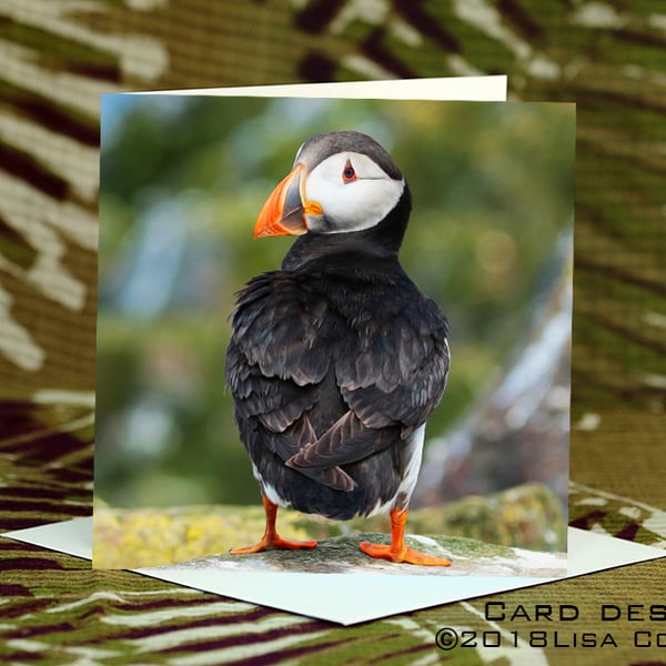 Exclusive Handmade Puffin Greetings Card on Archive Photo Paper