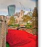 Tower Of London Poppies Red Poppy England Photograph Print - Image 6
