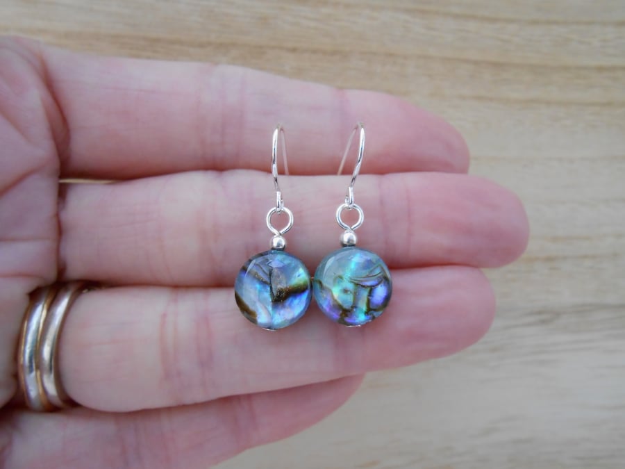 Sea shell earrings. Dainty abalone earrings with silver plated finish.