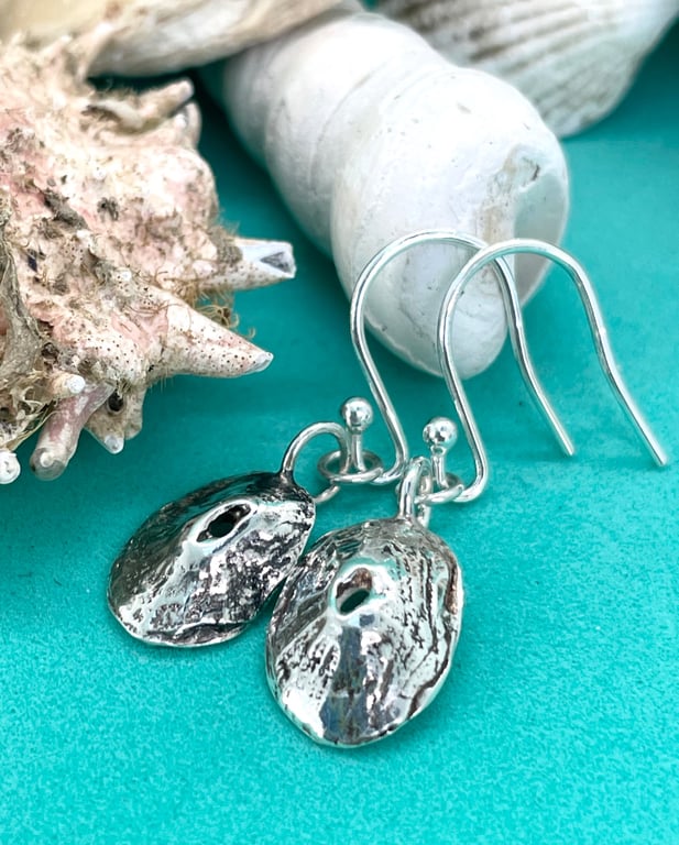 Silver limpet shell earrings 