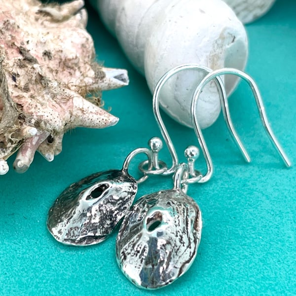 Silver limpet shell earrings 
