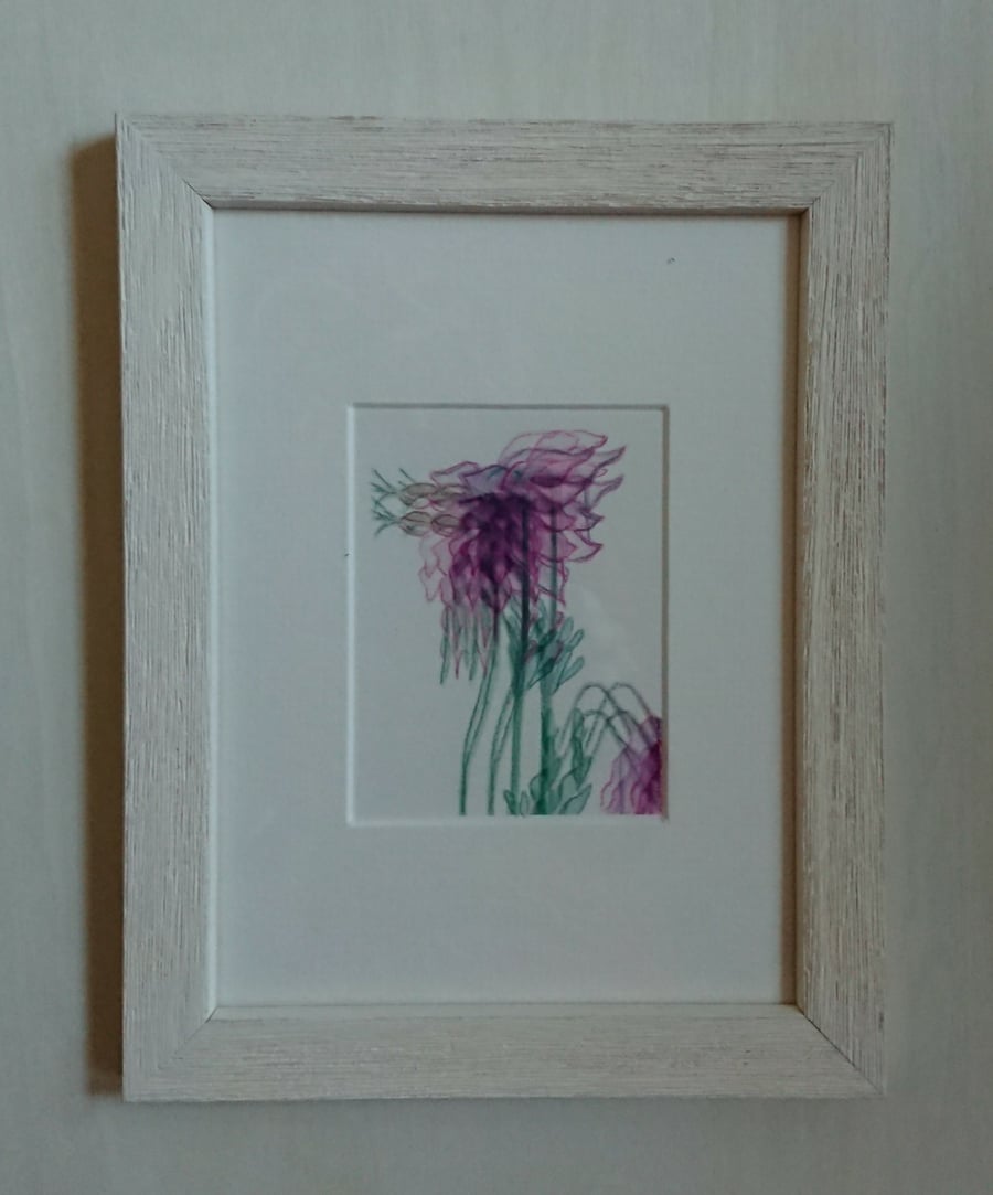 Small pink botanical art framed picture of Columbine flowers