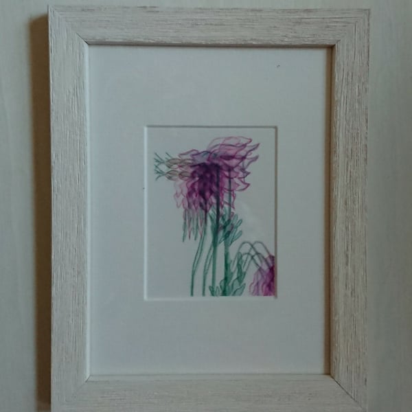 Small pink botanical art framed picture of Columbine flowers