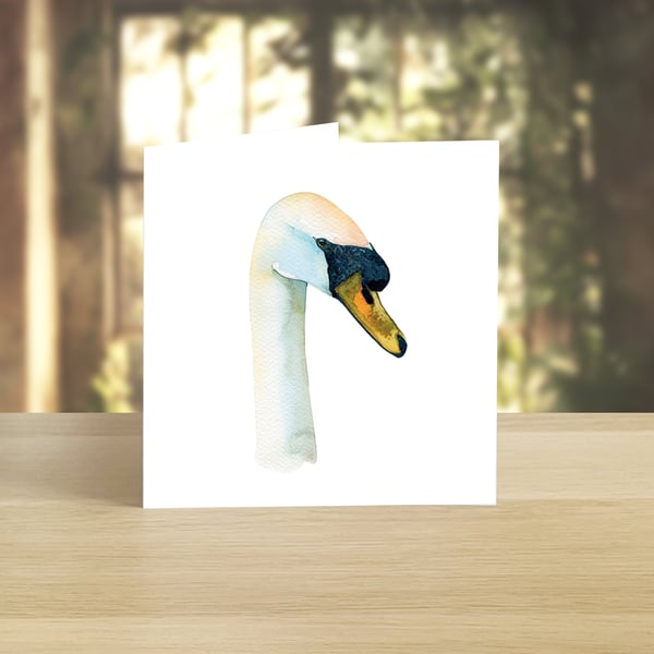 Swan greeting card (blank)