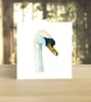 Swan greeting card (blank)