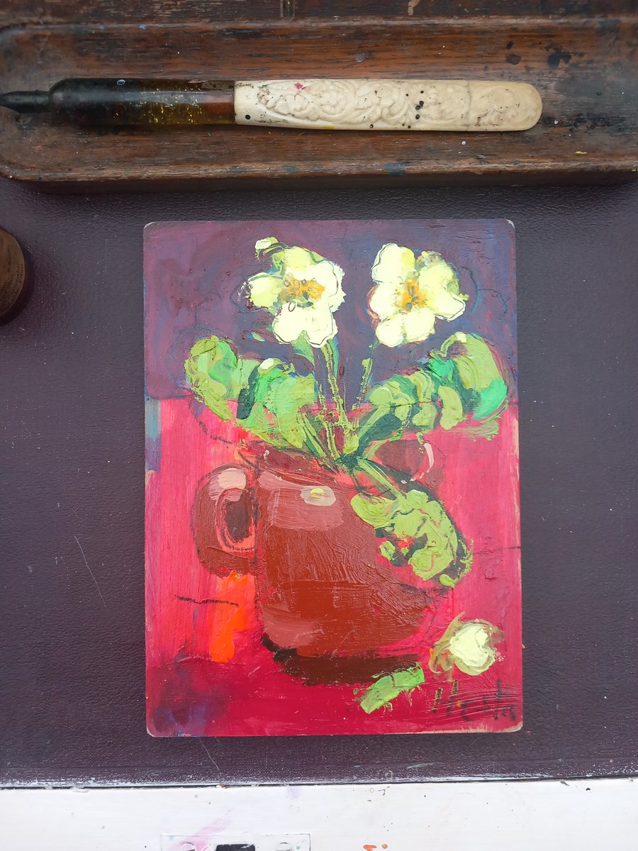 Potted primroses, contemporary still life 