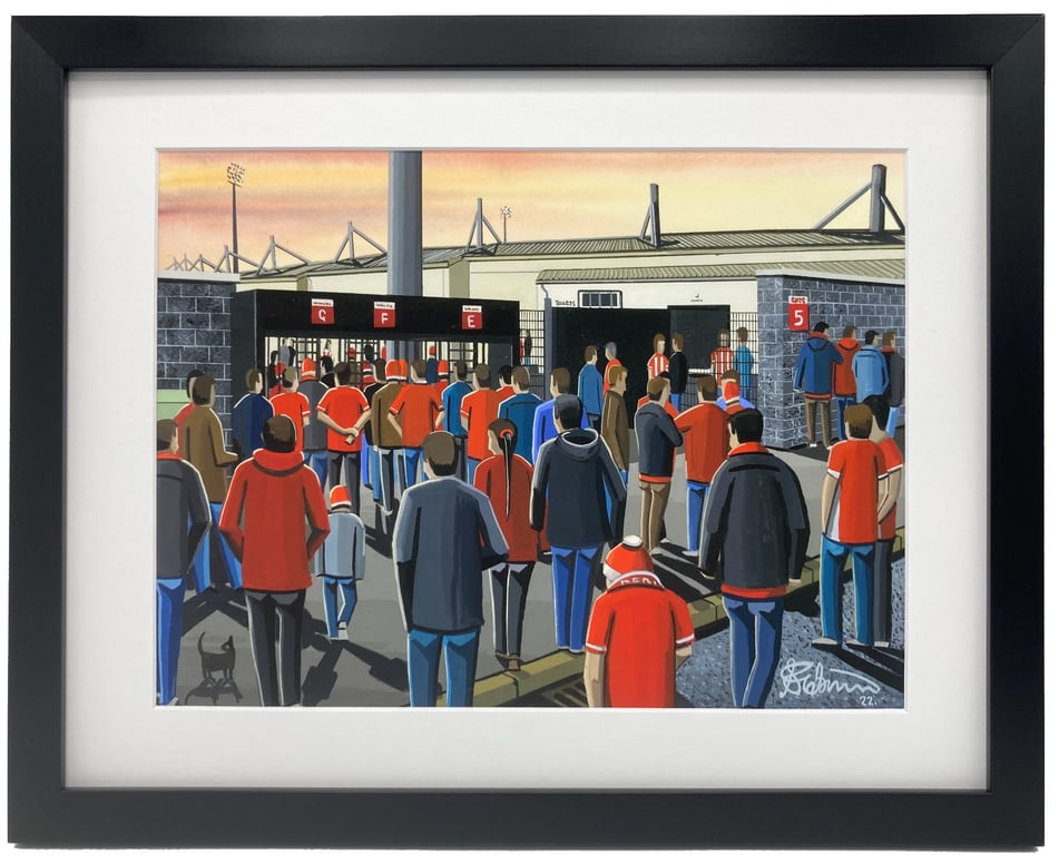 Derry, Framed & Unframed Art Print City Football Club FC Brandywell Stadium Gift