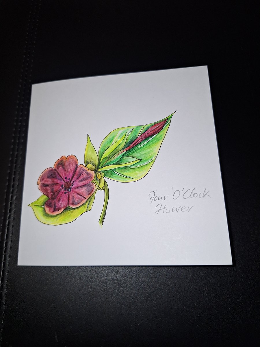 Image of Original Handpainted Greeting Card-Four O Clock Flower