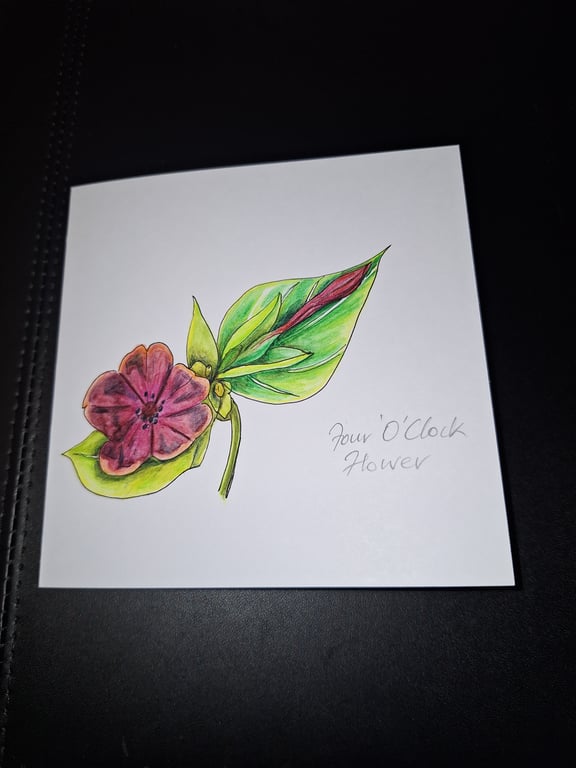 Original Handpainted Greeting Card-Four O Clock Flower