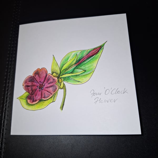 Original Handpainted Greeting Card-Four O Clock Flower