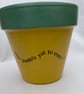 Hand painted kitchen herb plant pot in mustard yellow with saucer