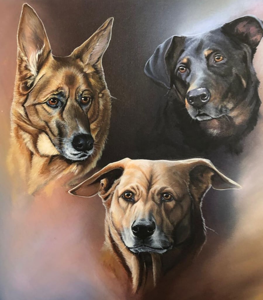 Commission a Pet Portrait 