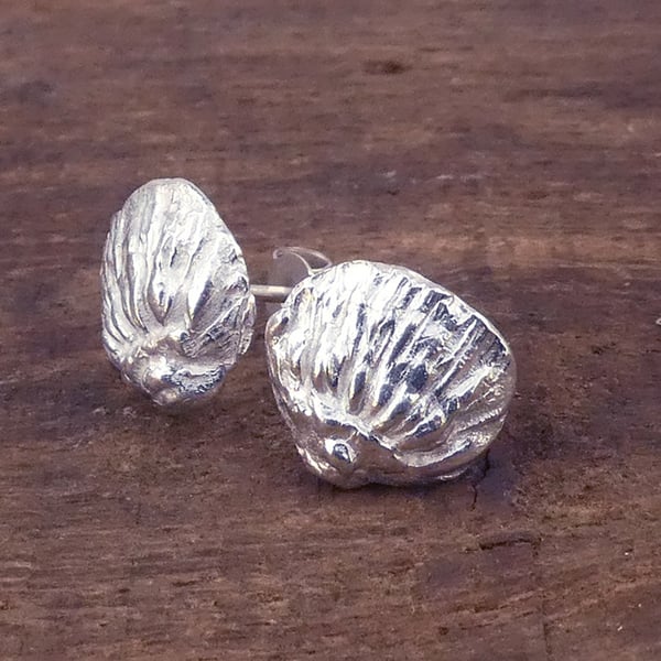 Silver scallop stud earrings