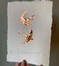 Copper Swallows