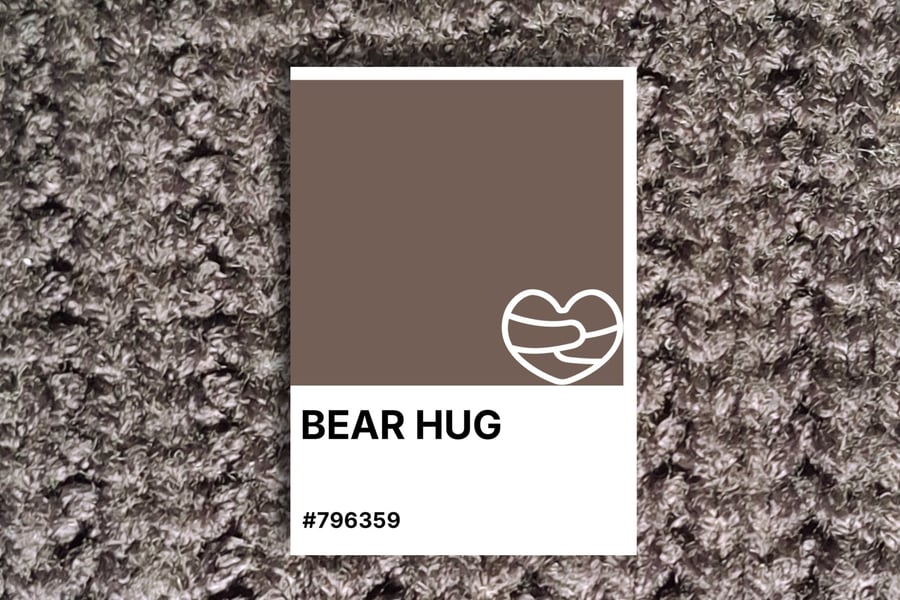 Father's Day BEAR HUG Greeting Card – Colour Swatch Series (A6 Blank Inside)