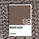 Father's Day BEAR HUG Greeting Card – Colour Swatch Series (A6 Blank Inside)
