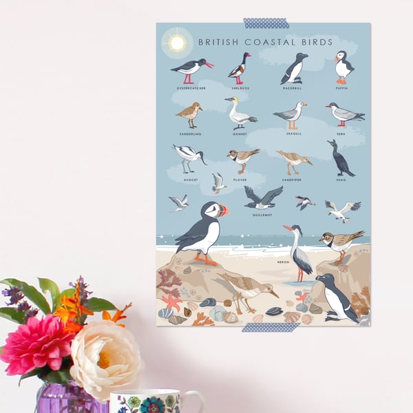 British Coastal Birds Poster - Field Guide Poster - A3 sized