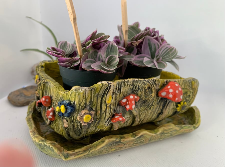 Rectangular planter decorated with fungi
