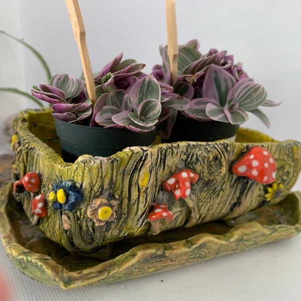 Rectangular planter decorated with fungi