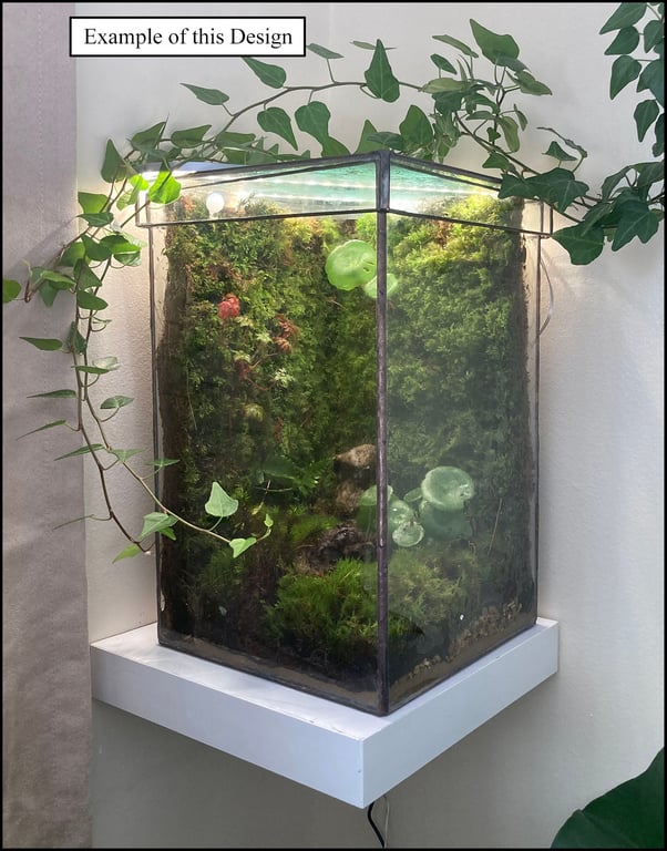 Glass terrarium for plants