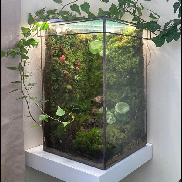 Glass terrarium for plants