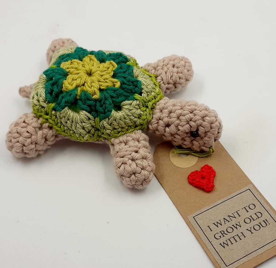 Romantic Crochet Tortoise 
