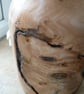 INTERESTING ELM TABLE LAMP - Image 1