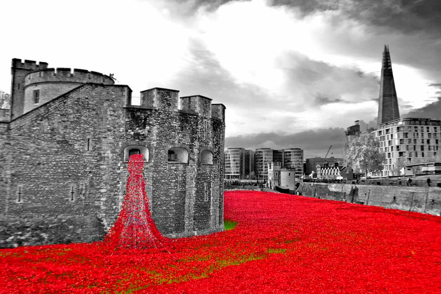 Red Poppies At The Tower Of London England Photograph Print