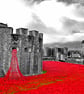 Red Poppies At The Tower Of London England Photograph Print - Image 1