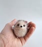 Miniature Felted Hedgehogs  - Image 2
