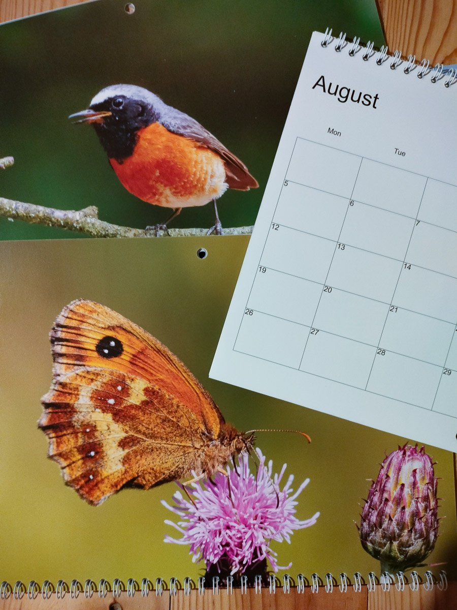 2024 calendar of British wildlife.A3 wall hanging month to view