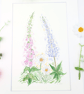 Foxglove, Daisy and Lupin original watercolour flower painting - Image 3