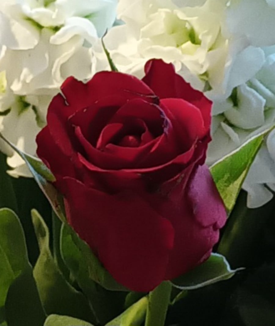 Clover & Rose Crafts