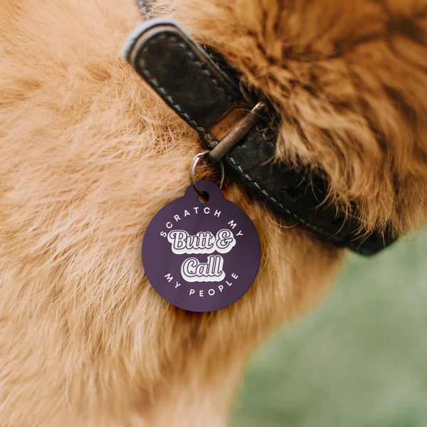 Scratch My Butt - Magnolia: Personalised Dog ID Collar Funny Custom Tag